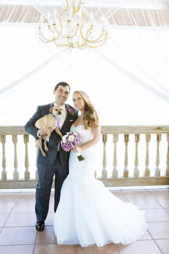 groom and bride and the dog Picture